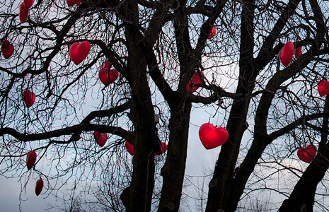 小黑ddos压力测试平台